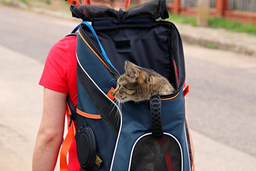Best Soft Cat Carriers for Travel in 2026