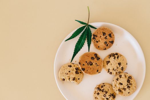 Best CBD Treats for Anxious Cats in 2026