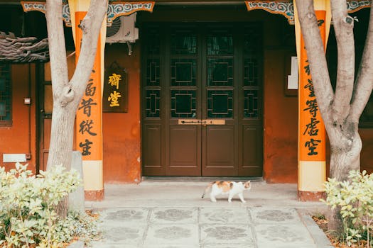 Best Cat Doors in 2026
