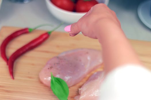 Best Chicken Recipe Cat Food in 2026
