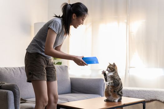 Best Indoor Cat Food with Hairball Control in 2026