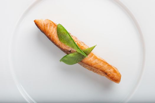 Best Salmon and Fish Cat Food in 2026