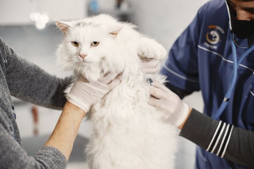 Best Grooming Gloves for Cats in 2026