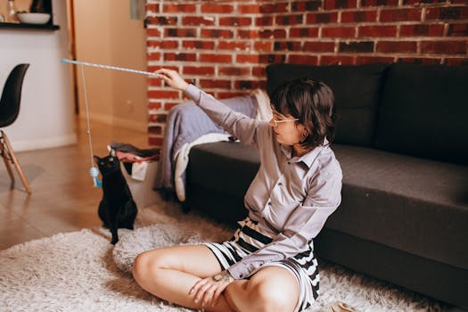 Best Interactive Laser Toys for Cats in 2026