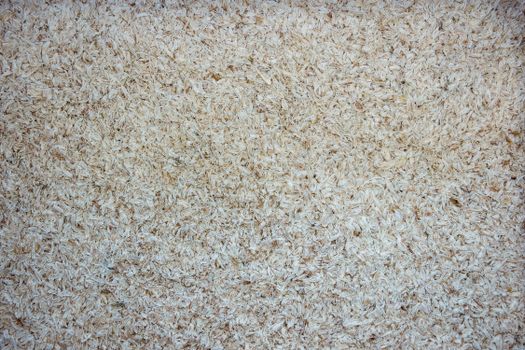 Best Flushable Biodegradable Cat Litter in 2026