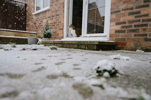 Best Cat Litter for Tracking Control in 2026