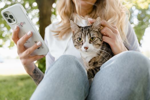 Best Joint Mobility Supplements for Cats in 2026