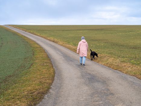 Best Coat and Skin Health Supplements for Dogs in 2026