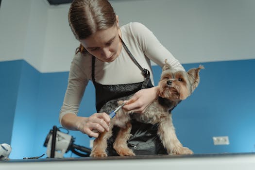 Best Deshedding Tools for Dogs in 2026