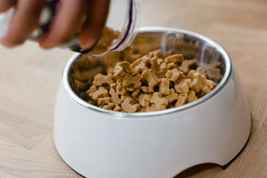 Best Limited Ingredient Dog Food for Allergies in 2026
