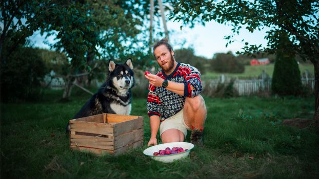 Best Organic Fresh Dog Food in 2026