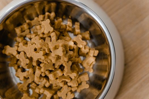 Best Large Breed Puppy Food in 2026