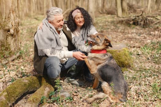 Best Senior Dog Food with Joint Support in 2026