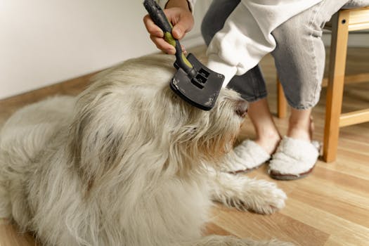 Best Undercoat Grooming Brush for Dogs in 2026