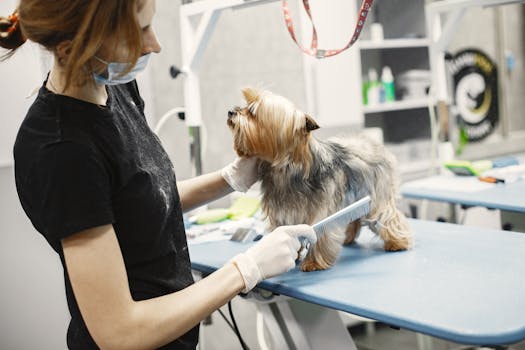 Best Deshedding Tools for Dogs in 2026