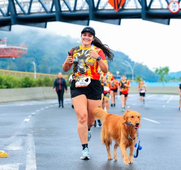 Best Hands Free Running Dog Leashes in 2026