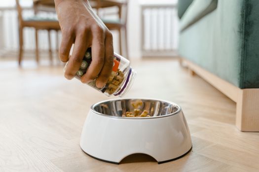 Best Probiotics for Dog Gut Health in 2026
