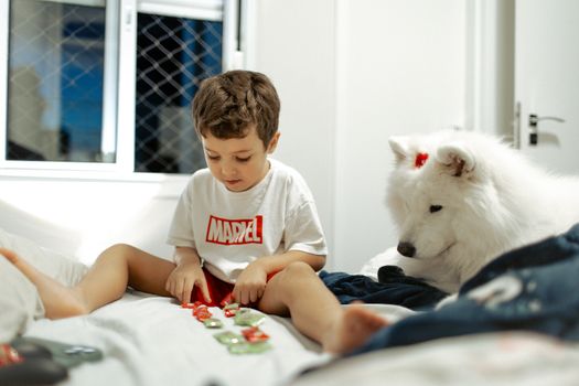 Best Puzzle Toys and Treat Dispensers for Dogs in 2026