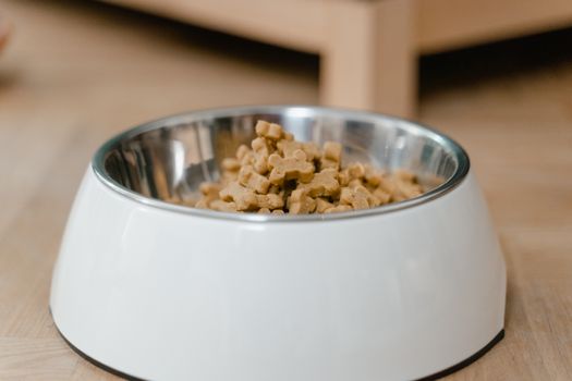 Best Probiotic Supplements for Dog Gut Health in 2026