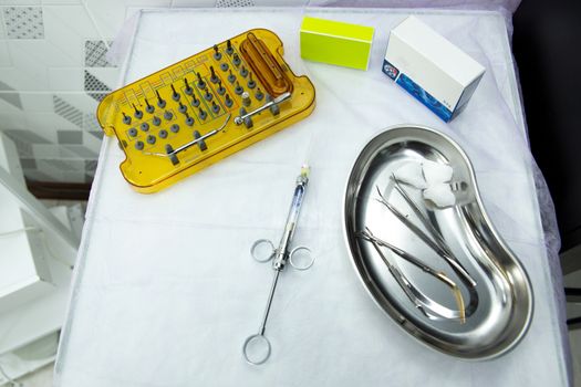 Best Tick Removal Tool Kits for Dogs in 2026