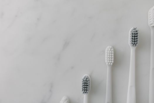 Best Electric Pet Toothbrushes for Dogs in 2026
