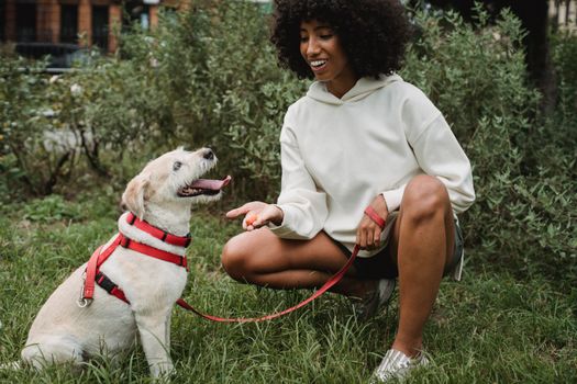 Best Clicker Training Kits for Dogs in 2026