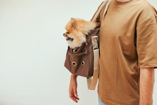 Best Travel Carriers for Dogs in 2026