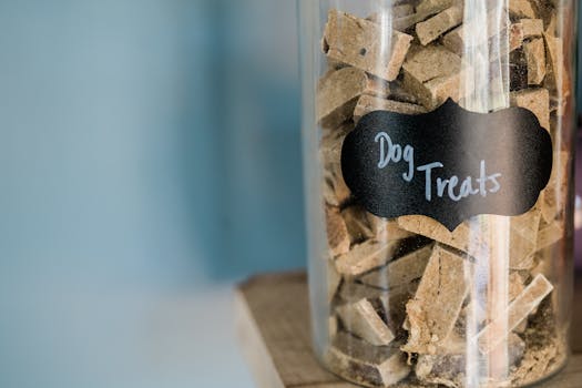 Best Freeze Dried Raw Dog Treats in 2026