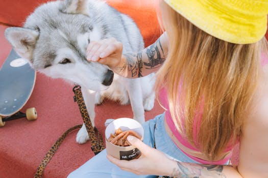 Best Beef Jerky Dog Treats in 2026