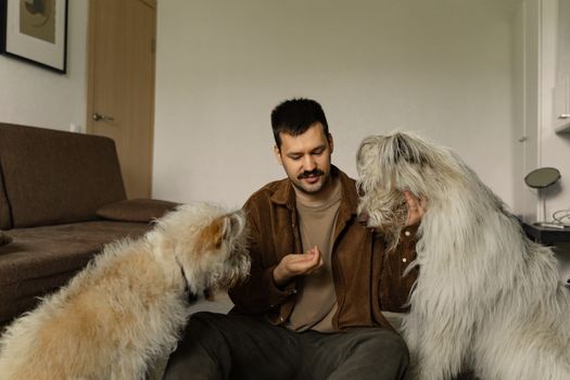 Best Treats for Dogs with Kidney Health in 2026