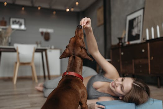 Best Low Fat Dog Treats in 2026