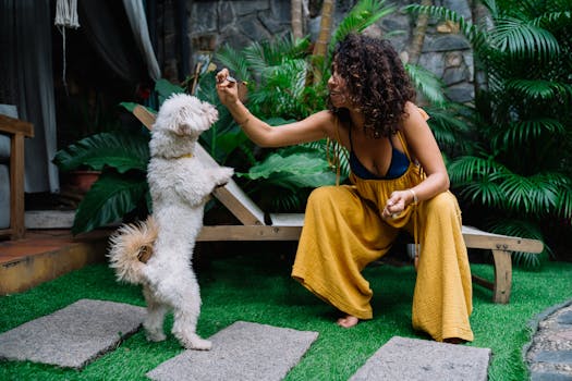 Best Natural Dog Treats in 2026