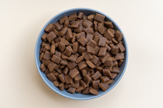 Best Limited Ingredient Dog Food in 2026