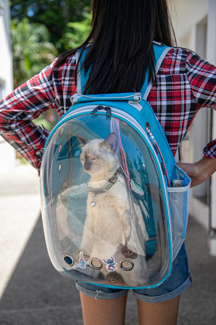 Best Cat Carriers in 2026